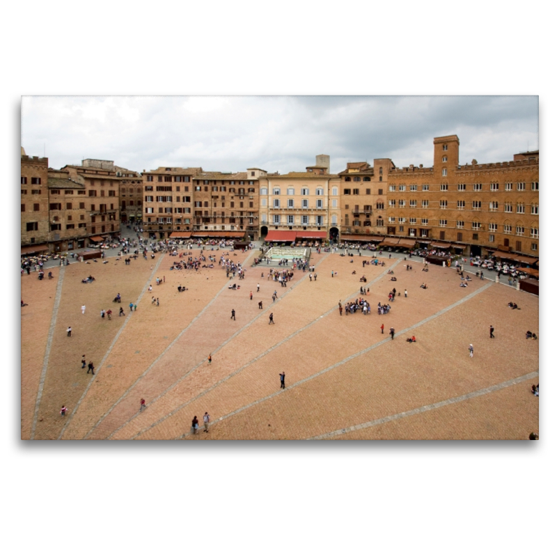 Sienna Piazza del Campo