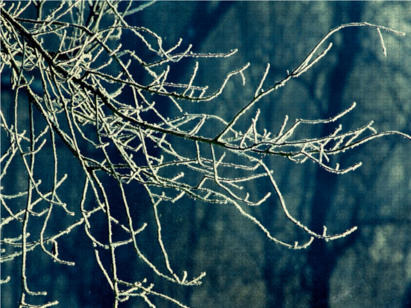 Zweige im Winter - Retro