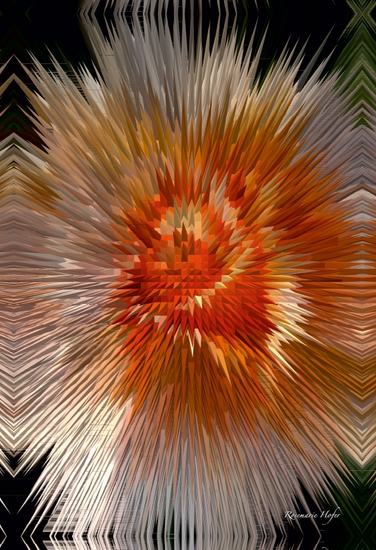 Flower Explosion III PHOTO ART° by Rosemarie Hofer