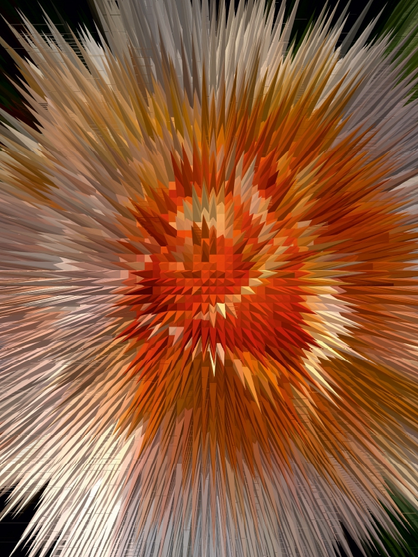 Flower Explosion III PHOTO ART° by Rosemarie Hofer