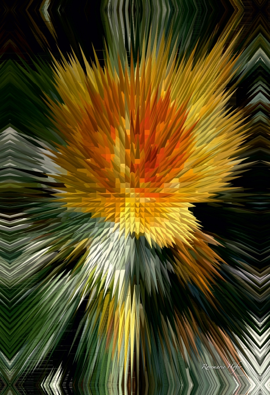 Flower Explosion Flower Explosion X PHOTO ART° V PHOTO ART° by Rosemarie Hofer