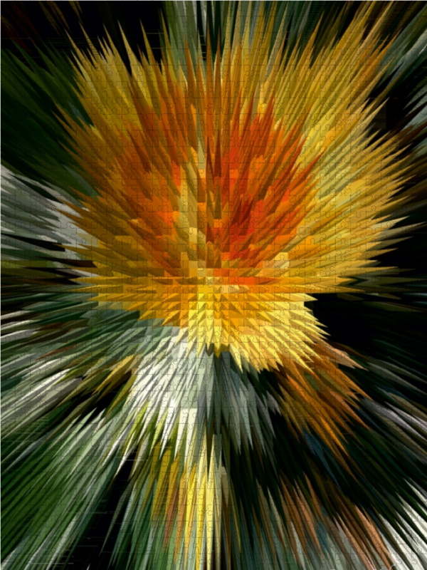 Flower Explosion Flower Explosion X PHOTO ART° V PHOTO ART° by Rosemarie Hofer