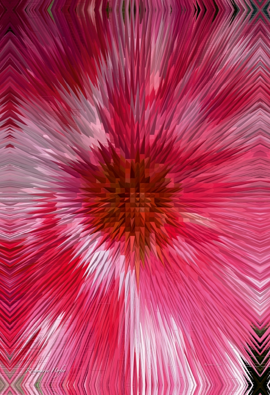 Ein Motiv aus dem Kalender Flower Explosion PHOTO ART° by Rosemarie Hofer