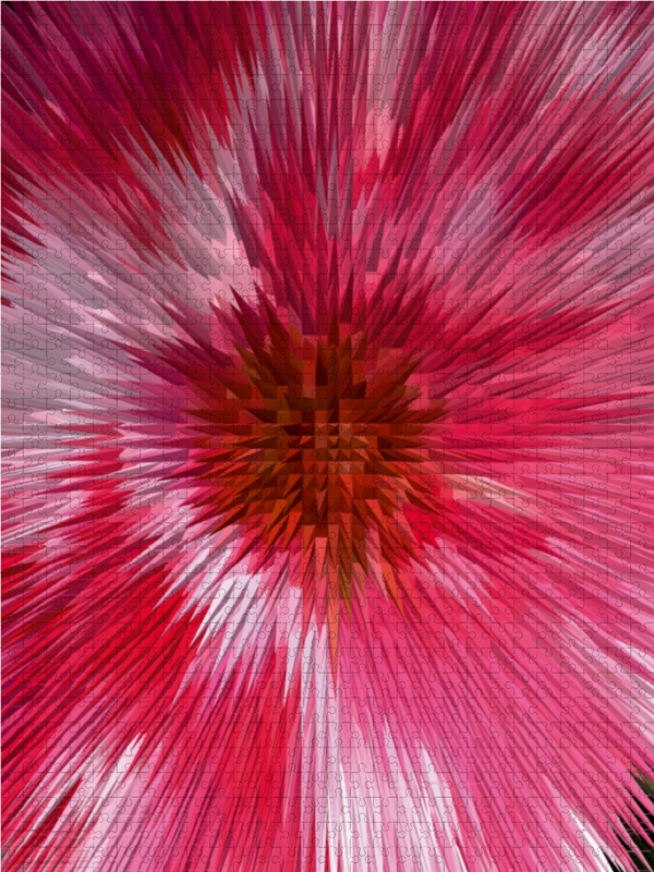 Ein Motiv aus dem Kalender Flower Explosion PHOTO ART° by Rosemarie Hofer