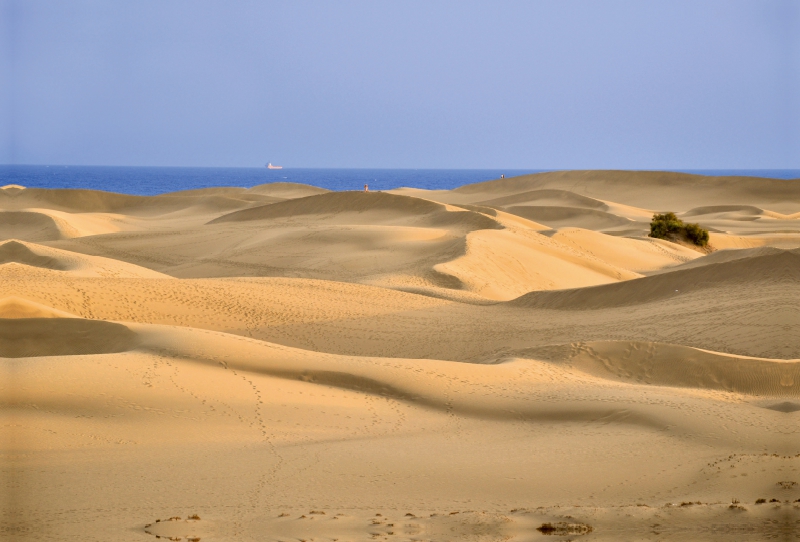 Ein Motiv aus dem Kalender GRAN CANARIA/Dünen von Maspalomas