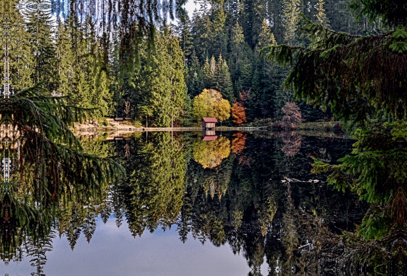 Der Glaswaldsee bei Bad Peterstal