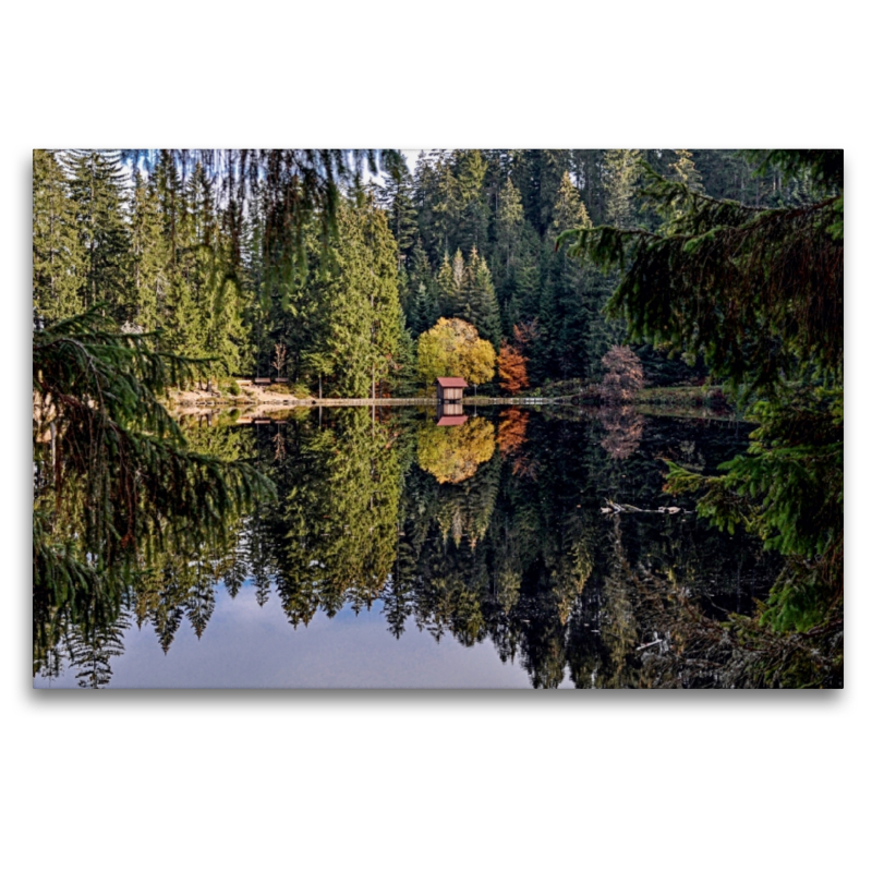 Der Glaswaldsee bei Bad Peterstal