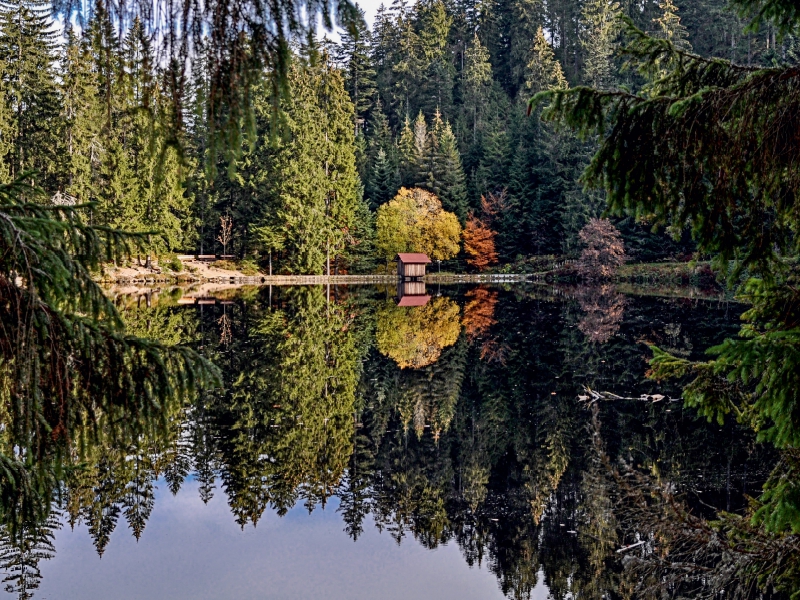 Der Glaswaldsee bei Bad Peterstal