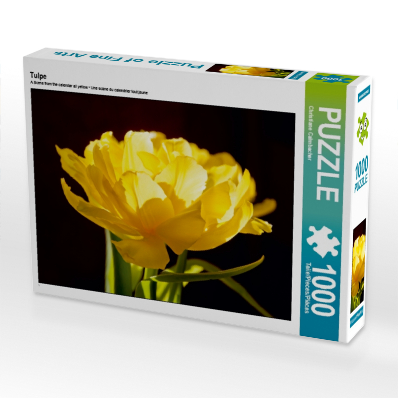 Tulpe