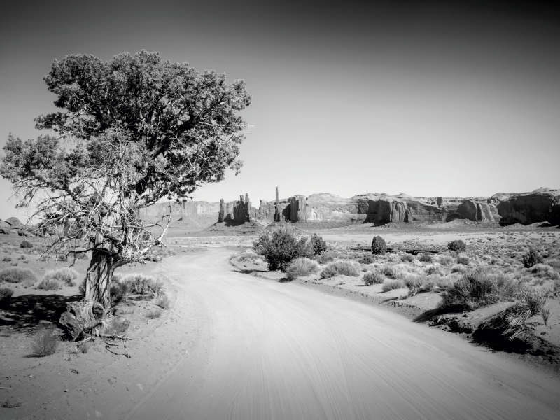 Monument Valley Drive und Totem Pole