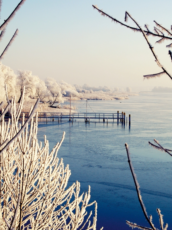 Winter am Hohennauener See im Havelland