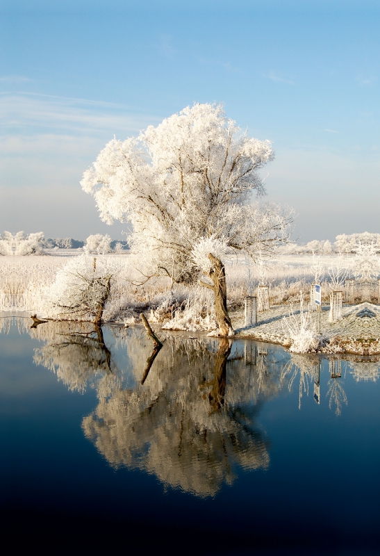 Havel bei Gülpe im Havelland. Winterlandschaft.