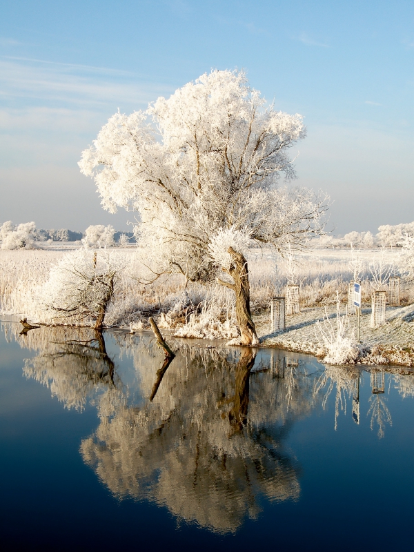 Havel bei Gülpe im Havelland. Winterlandschaft.