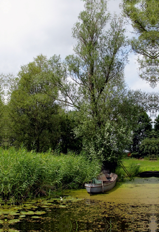 Boot am Ufer der Havel