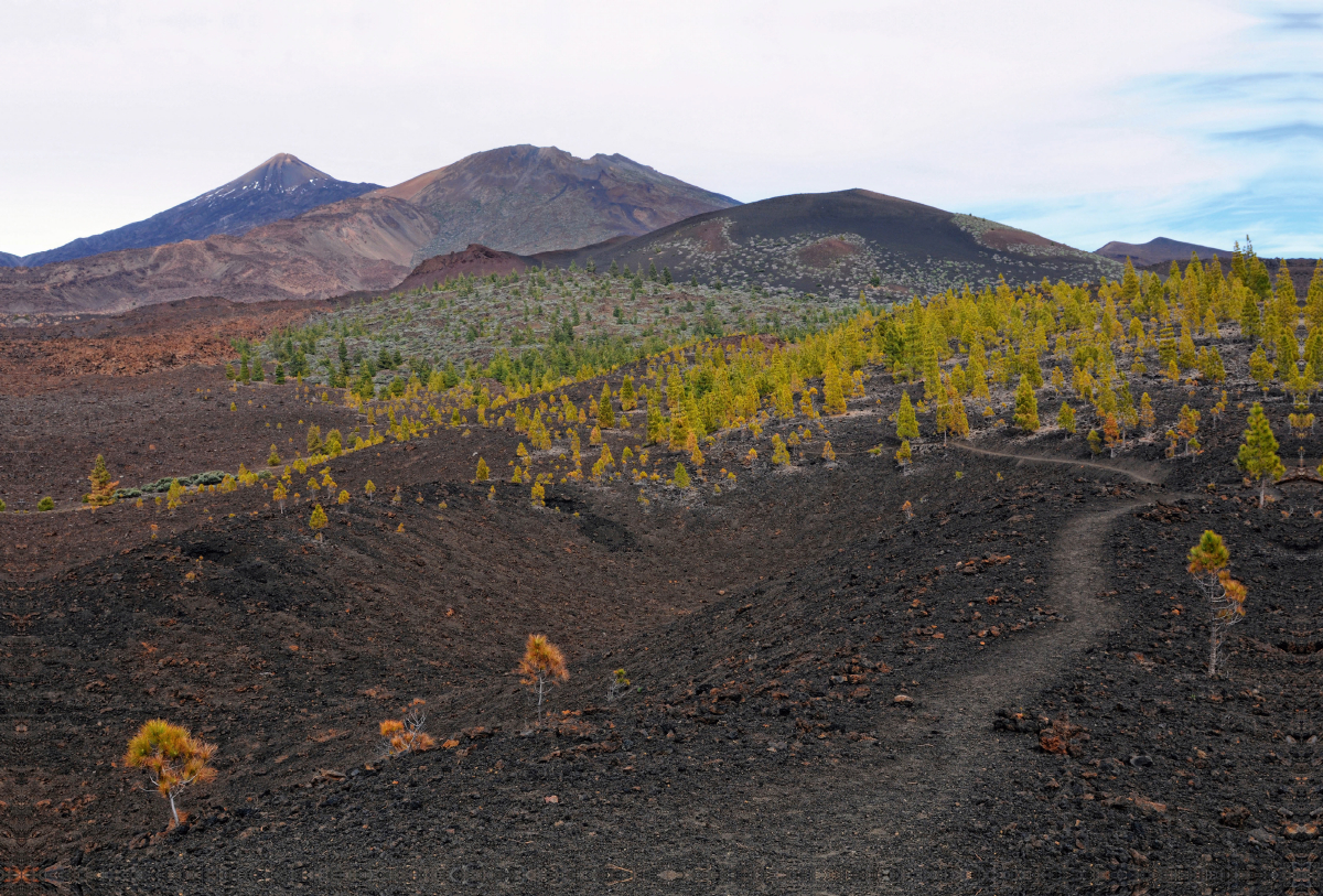 Landschaft im Teide Nationalpark Teneriffa