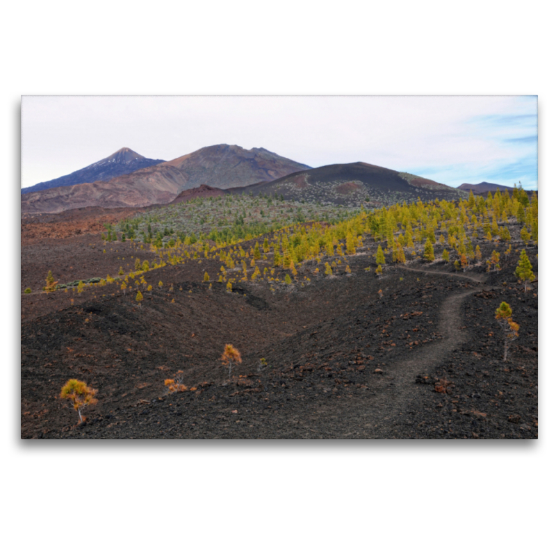 Landschaft im Teide Nationalpark Teneriffa