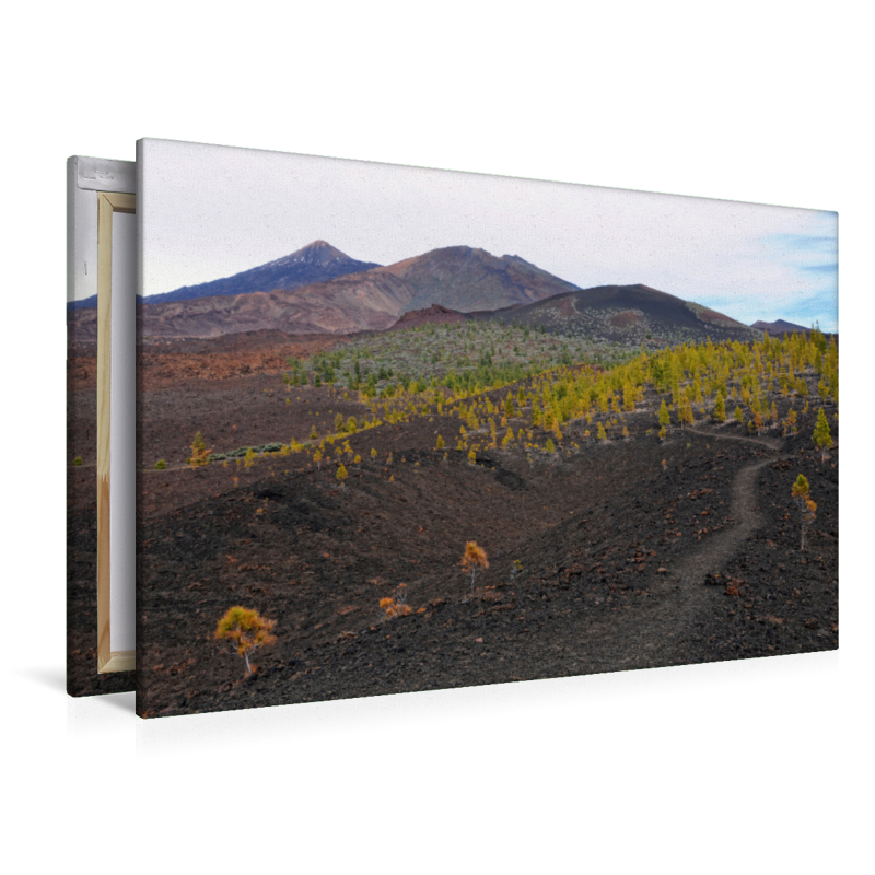 Landschaft im Teide Nationalpark Teneriffa