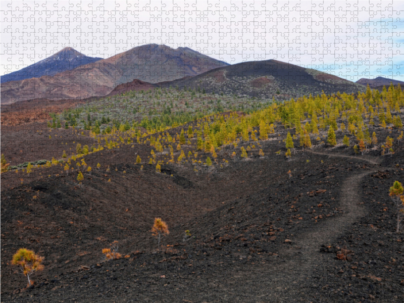 Landschaft im Teide Nationalpark Teneriffa