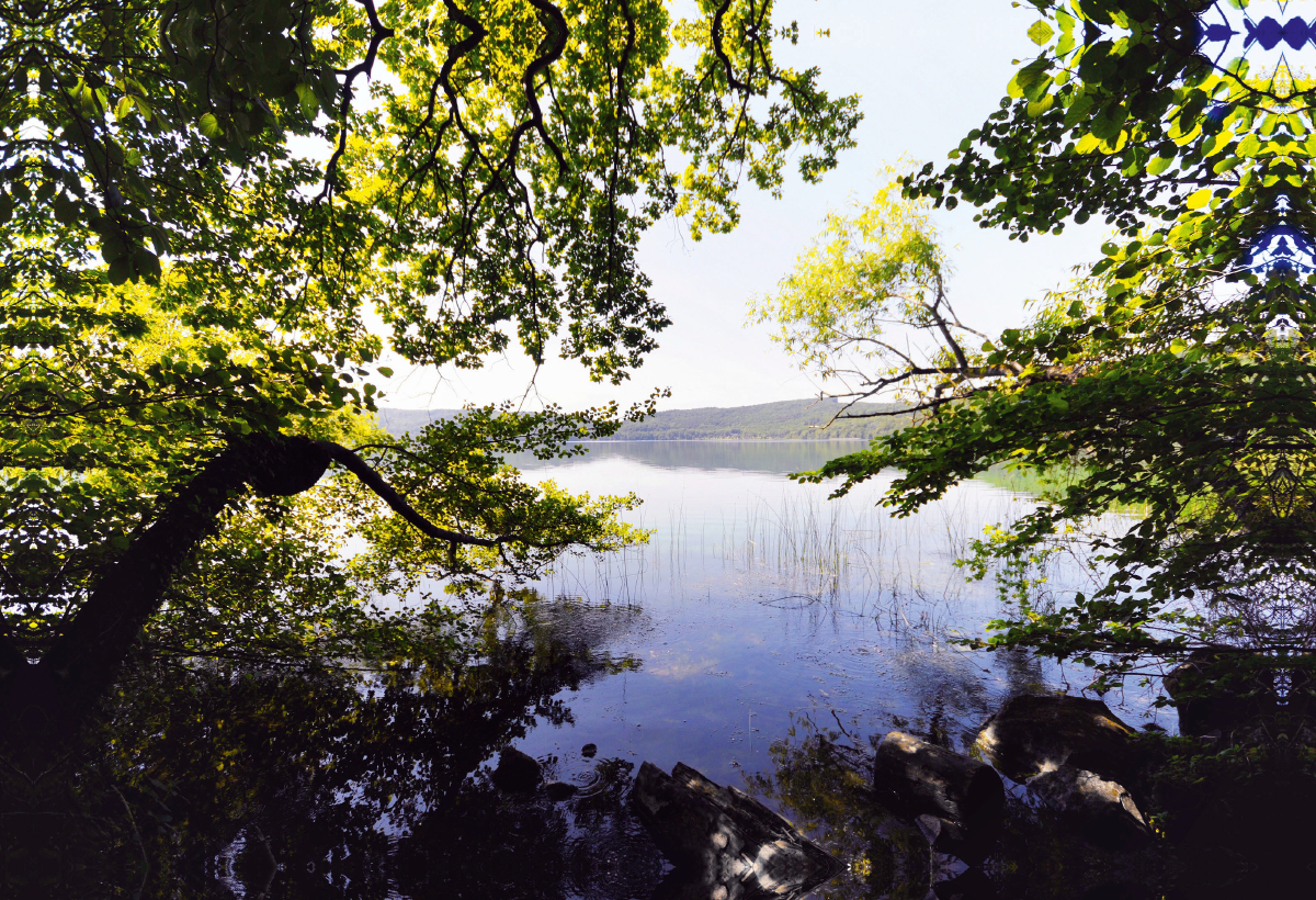 Blick durch die Bäume am Laacher See