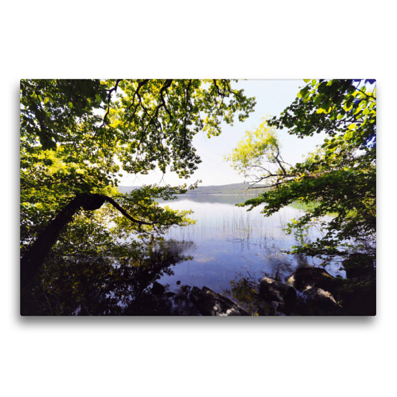 Blick durch die Bäume am Laacher See