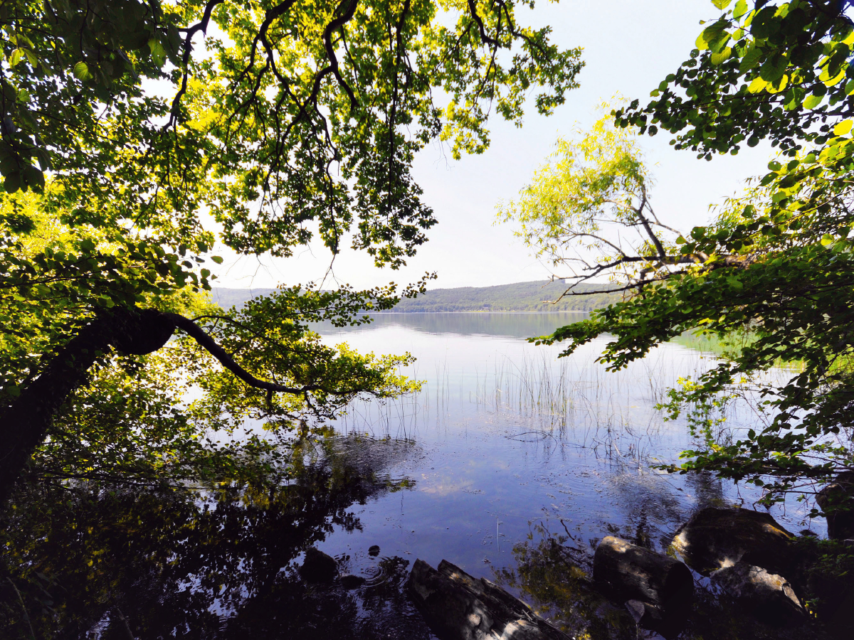 Blick durch die Bäume am Laacher See