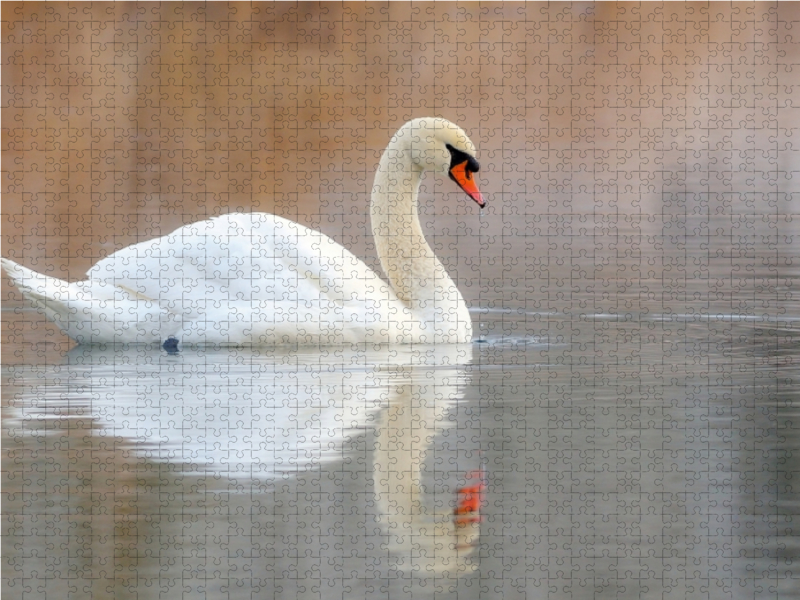 Eleganz in Weiß