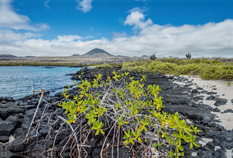 Isla Floreana - Galapagos