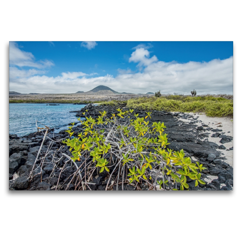 Isla Floreana - Galapagos