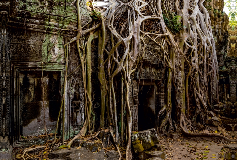 Ta Prohm