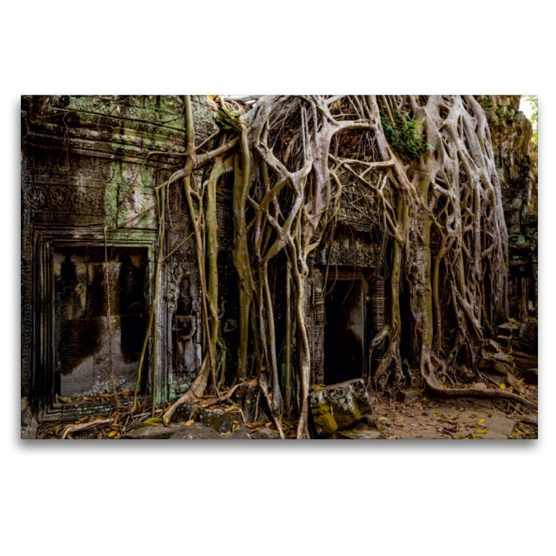 Ta Prohm