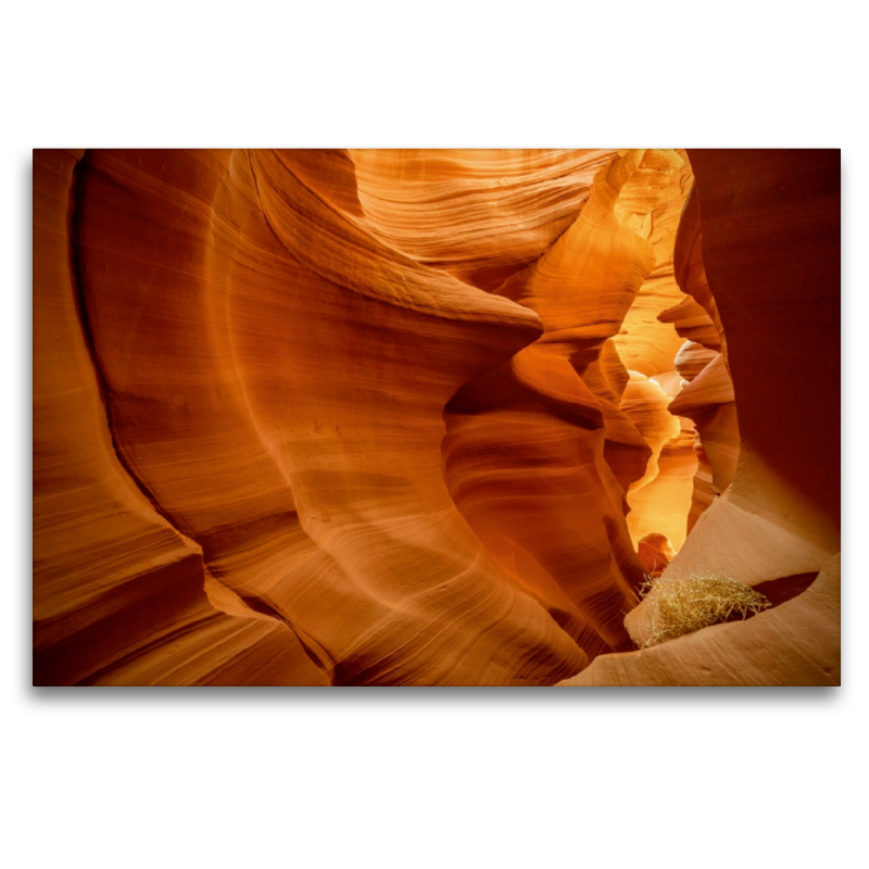 Antelope Canyon