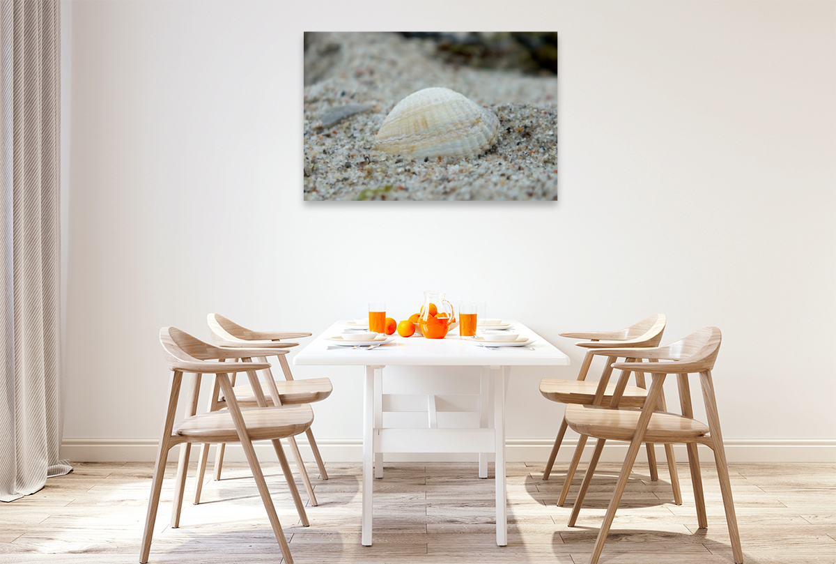 Muschel am Strand