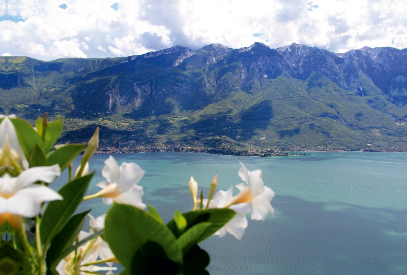 Blick von Pieve auf Malcesine