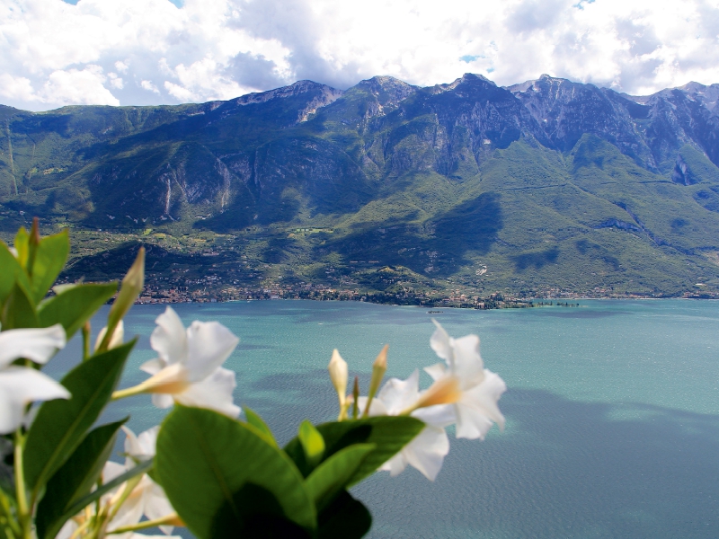 Blick von Pieve auf Malcesine