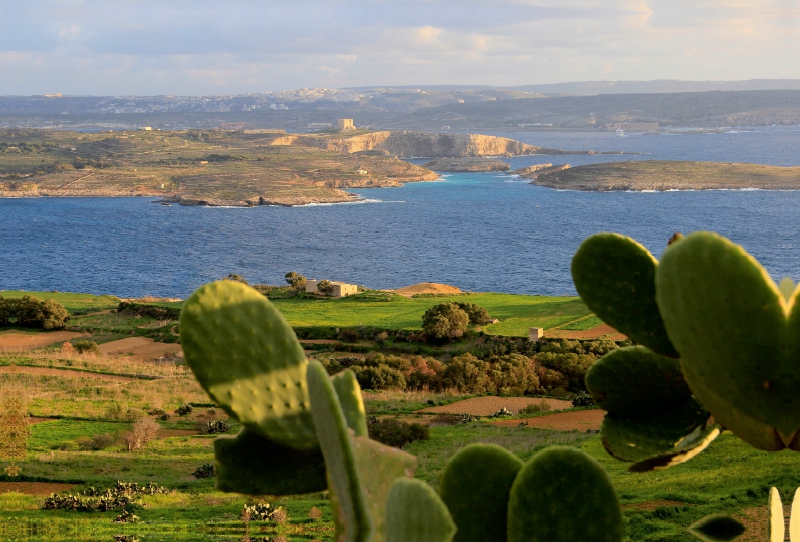 Comino