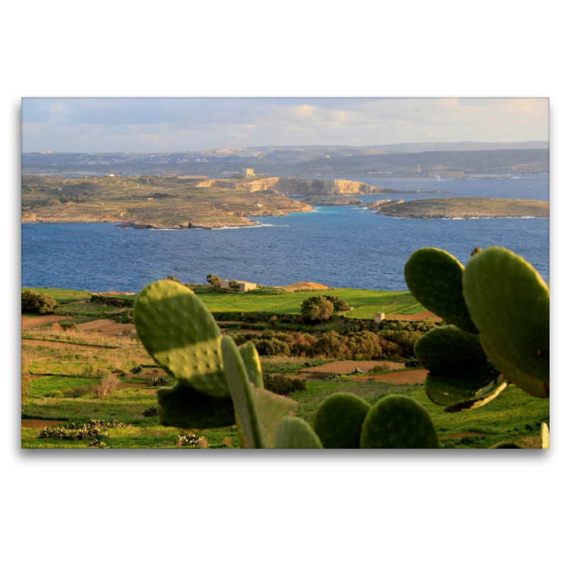 Comino