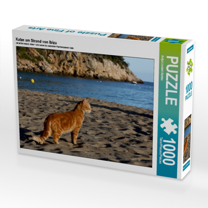 Katze am Strand von Ibiza