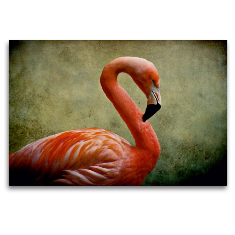 Red Flamingo