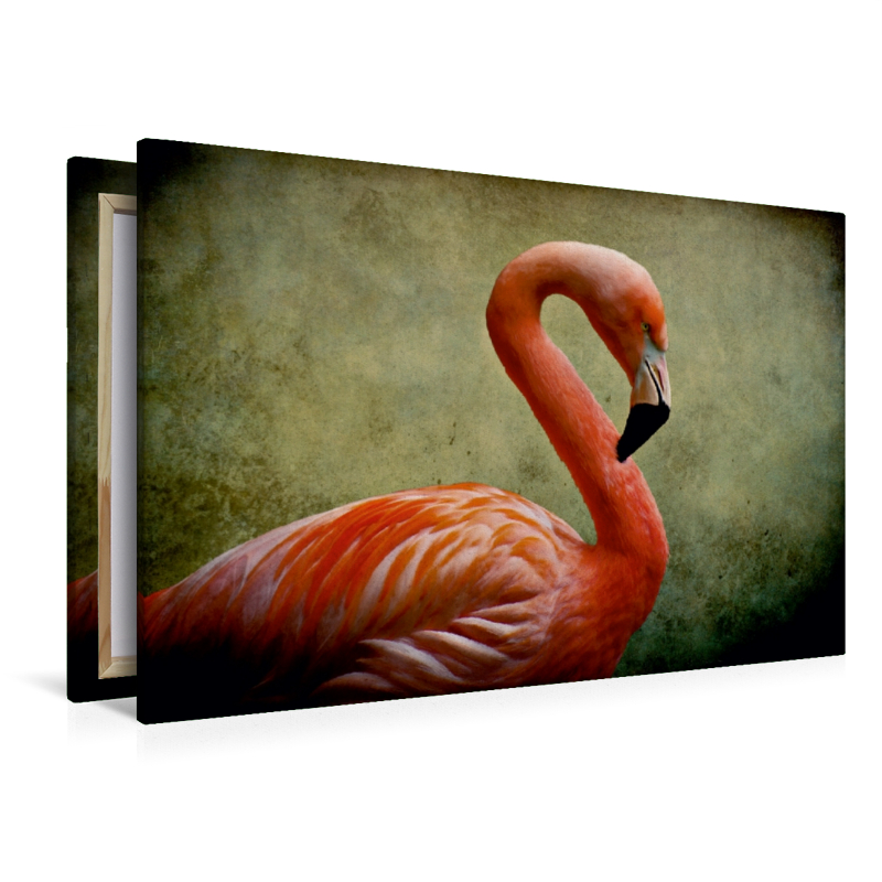 Red Flamingo