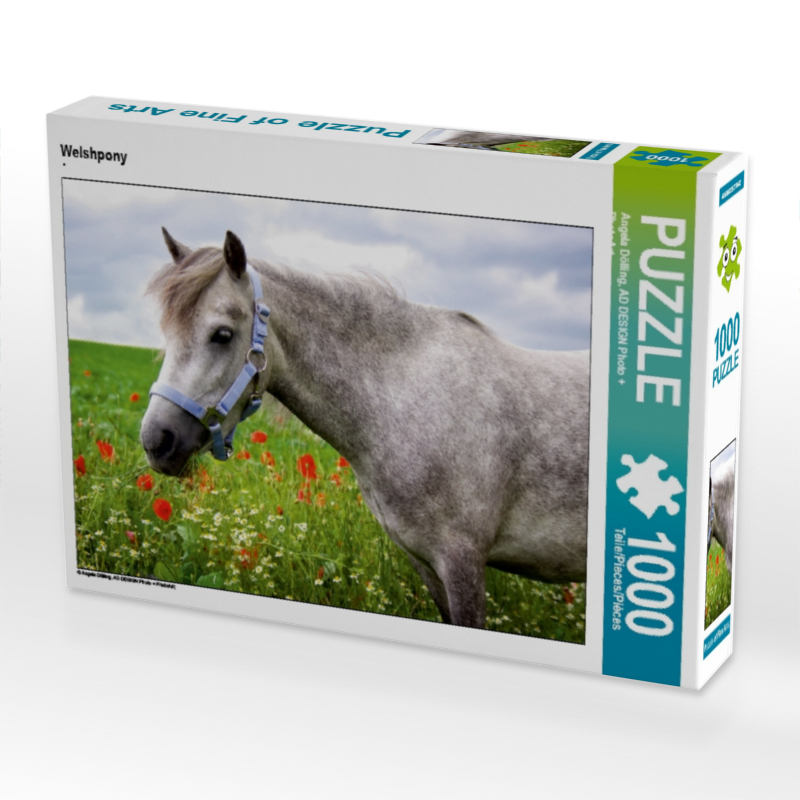 Puzzle Pferd Welshpony