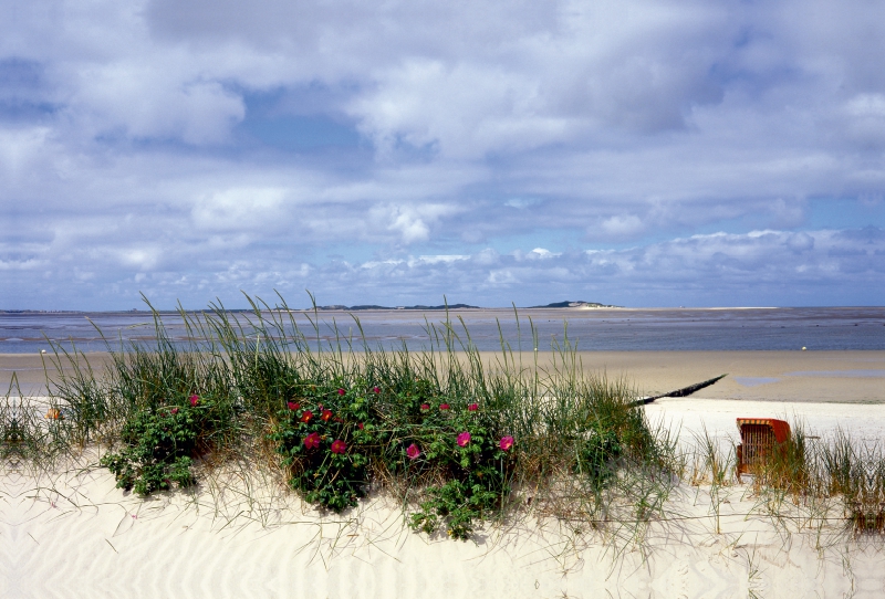 Badestrand auf der Insel Föhr