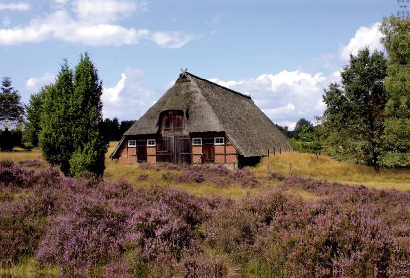 Schafstall in der Lüneburger Heide