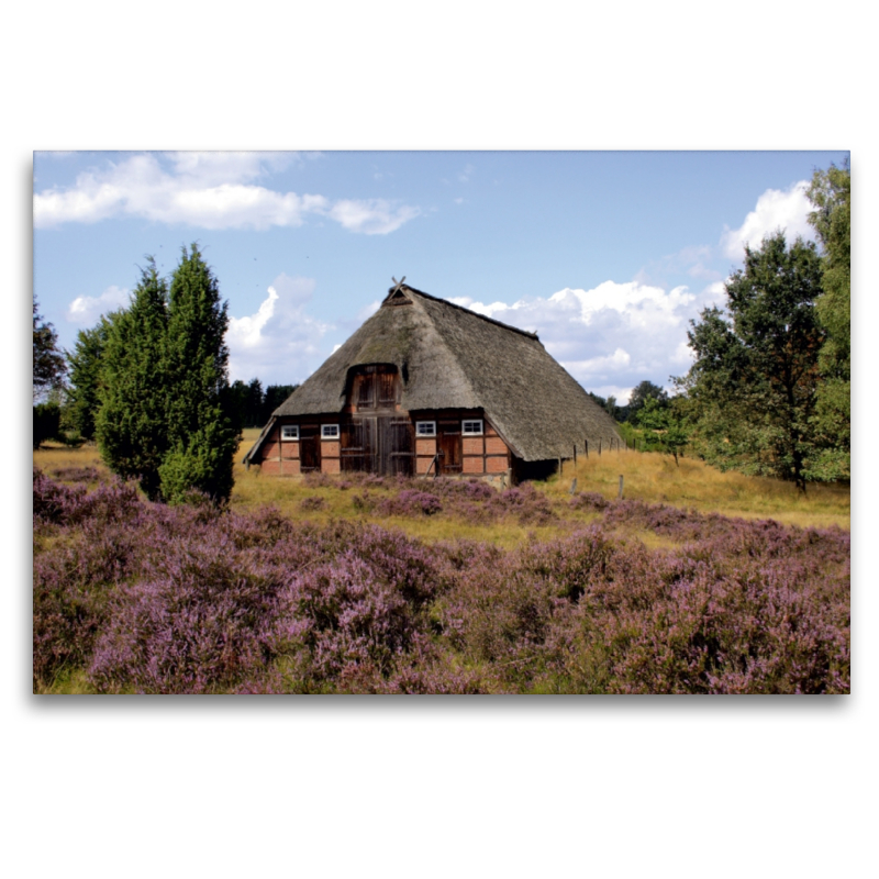 Schafstall in der Lüneburger Heide