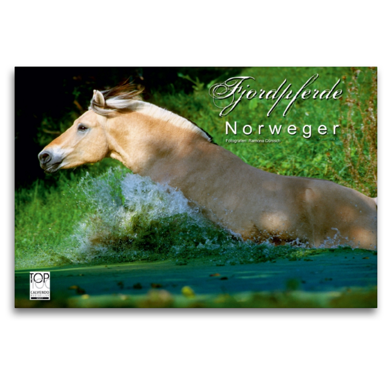 Ein Motiv aus dem Kalender Fjordpferde - Norweger