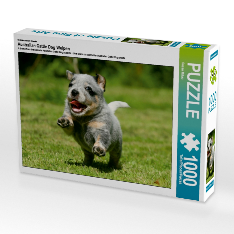 Ein Motiv aus dem Kalender Australian Cattle Dog Welpen