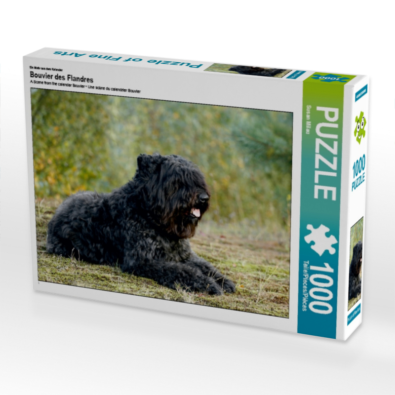 Ein Motiv aus dem Kalender Bouvier des Flandres