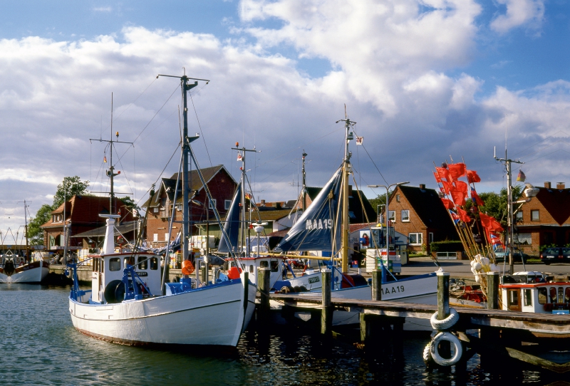 Fischhafen Maasholm, Ostsee