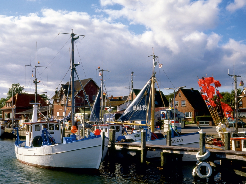 Fischhafen Maasholm, Ostsee