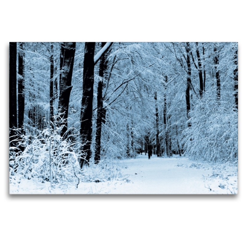 Winter im Wald