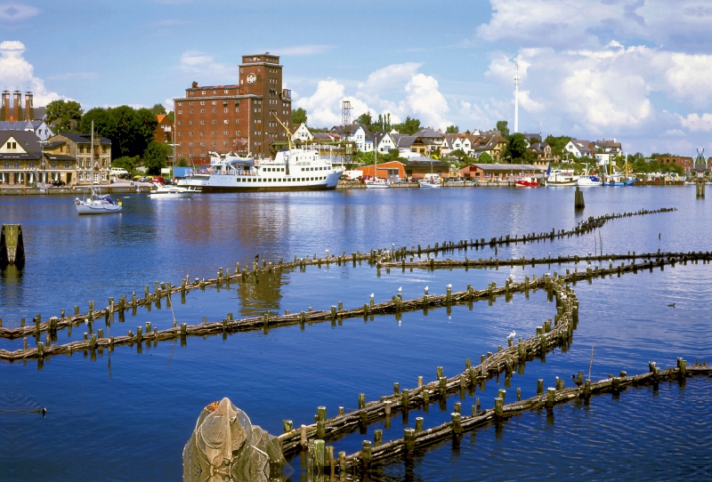 Heringszaun bei Kappeln an der Schlei